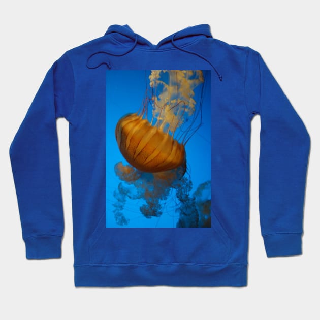 Glowing Jellyfish Hoodie by MJDiesl